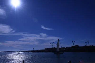 DSC_0834 (Large).JPG